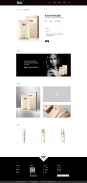 电脑图文设计 网站设计的视觉核心与灵魂